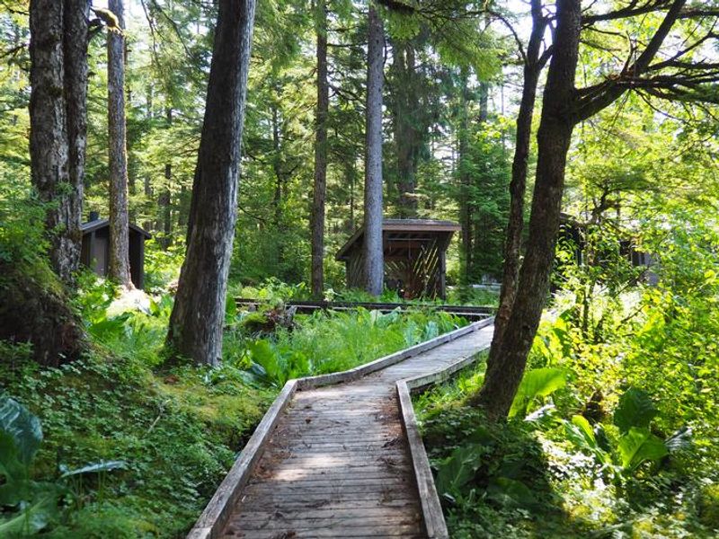 Virginia Lake Cabin walkway to outhouse