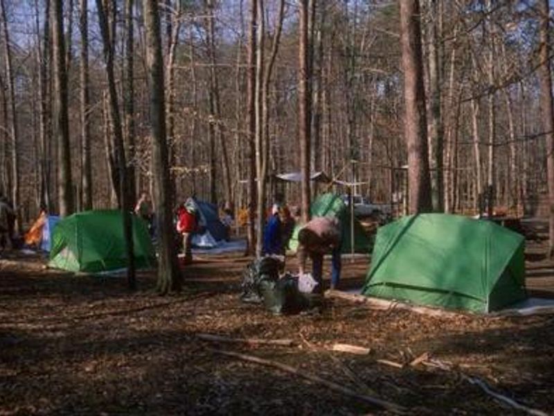Campers in Turkey Run Group Campground