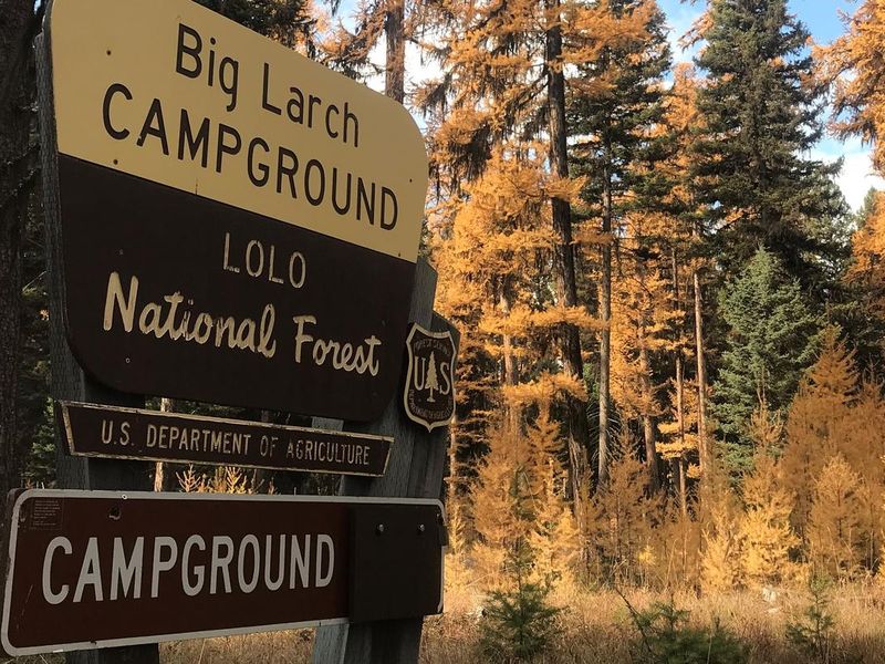 Big Larch Campground Entrance Sign. It reads: Big Larch Campground, Lolo National Forest, U.S. Department of Agriculture, Campground. Western Larch trees displaying fall colors can be seen in the background. 
