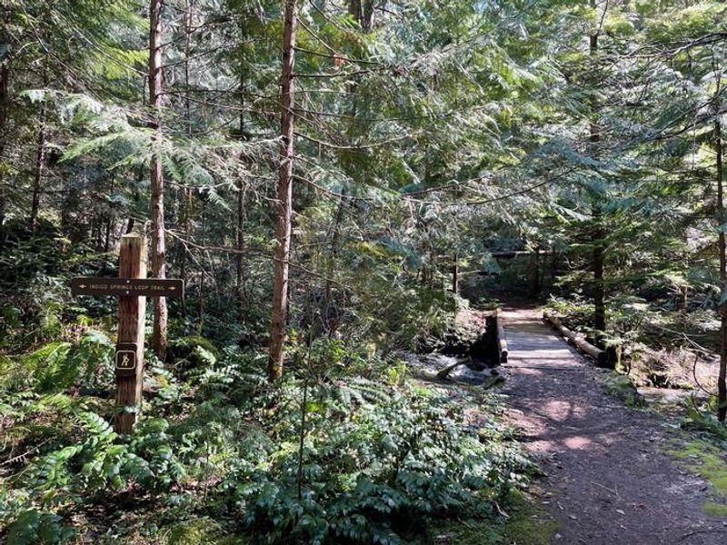 The Indigo Springs Loop offers a short hike within the campground along the springs, taking you past a small day use area that is open to all guests.