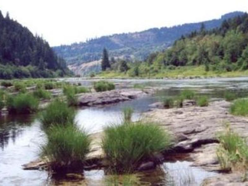 A river level view of the Umpqua River at Tyee Campground.