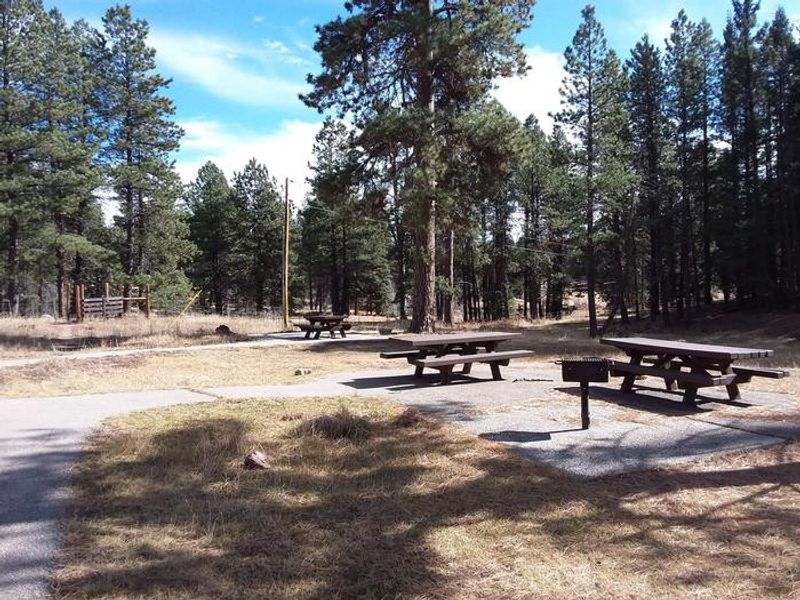 Picnic area with camp grills.