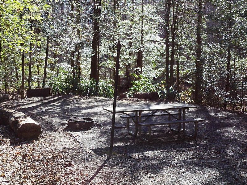 This beautiful site #19 is set back from the day use parking, but is a great place to be if you want to hear the creek that runs along the side of it, to the sounds of Horsetrough Falls that is a short 3 minute walk from this site. Enjoy your stay.
