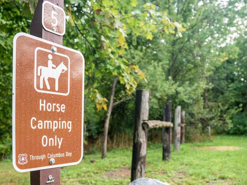 Backbone Campground Sites 1-9