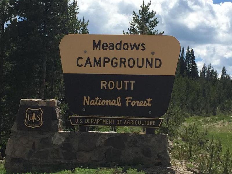 Meadows CG entrance sign with trees