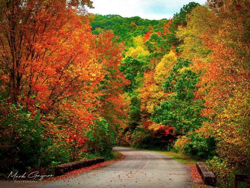 Driveway to the beach at Beartree Campground