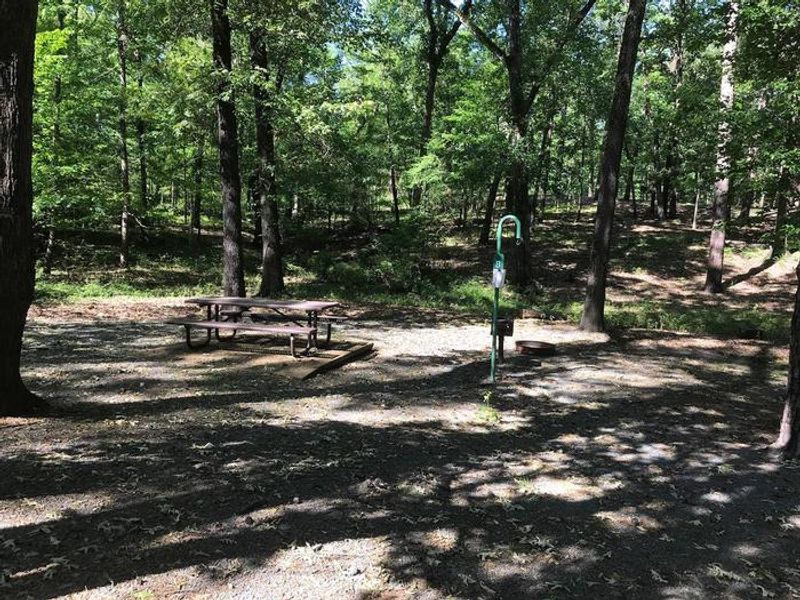 Campsite #8. Tent site with the following amenities: fire-pit, grill, picnic table, lantern pole, trash can.