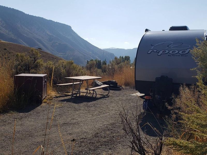 Mammoth Campsite #16