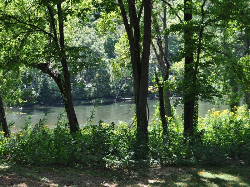 NORTH FORK RIVER VIEW