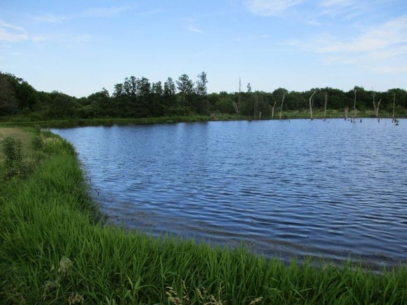 Blue Bill offers a small fishing pond approximately 1/2 mile outside of the park gates.