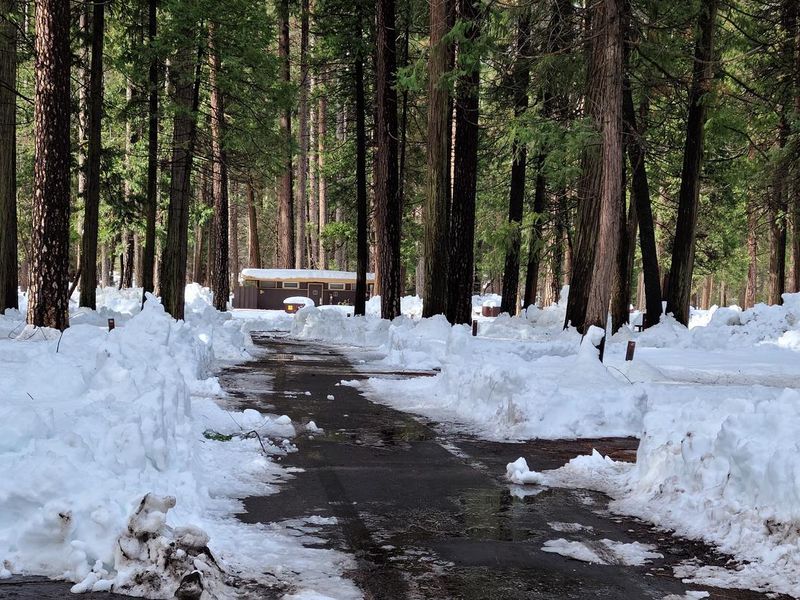 Upper Pines snow-plowed road