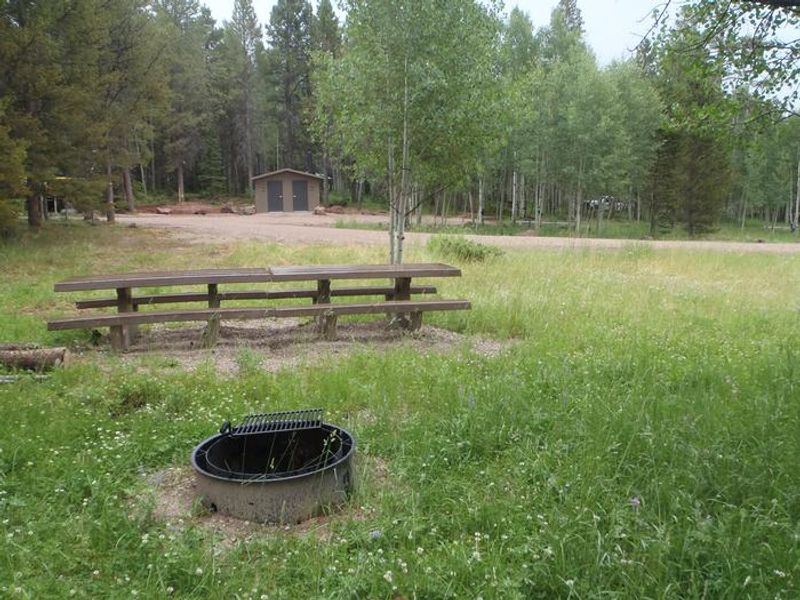 Red Springs Campground - Double Table. 