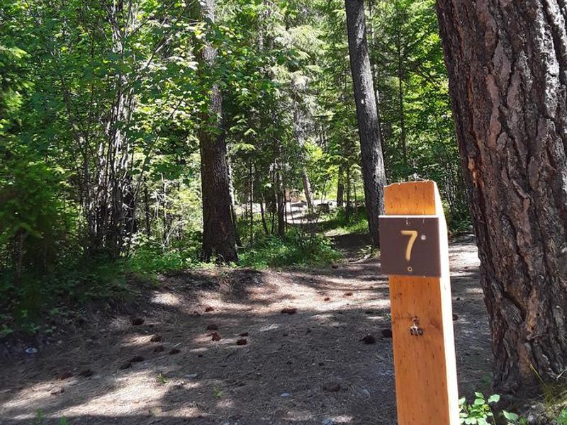 Trout Creek Campground