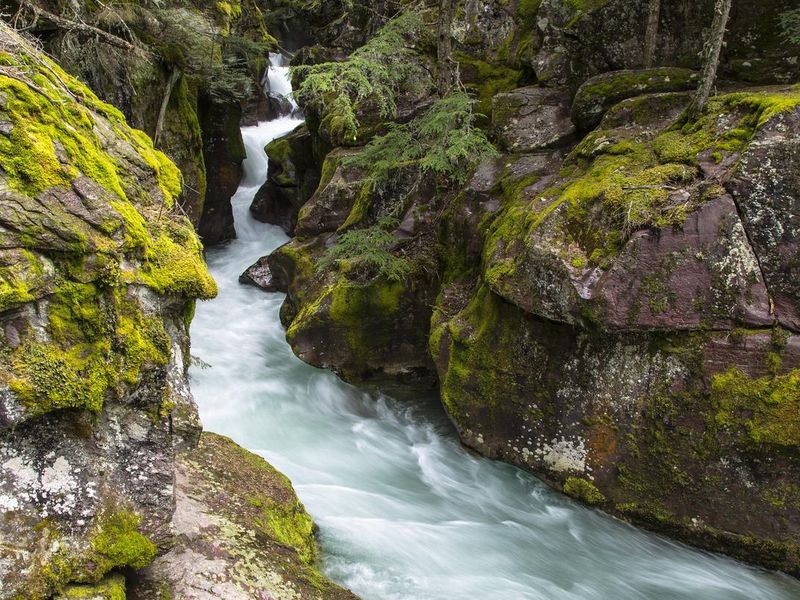 A creek flows through a small gorge of rocks covered in moss.