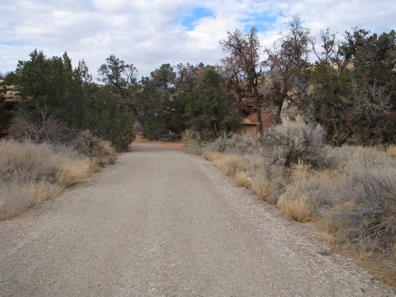 Drive way leading into the group site.