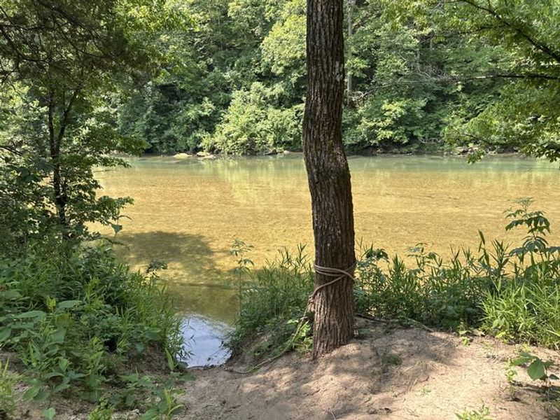 A group campsite next to the river