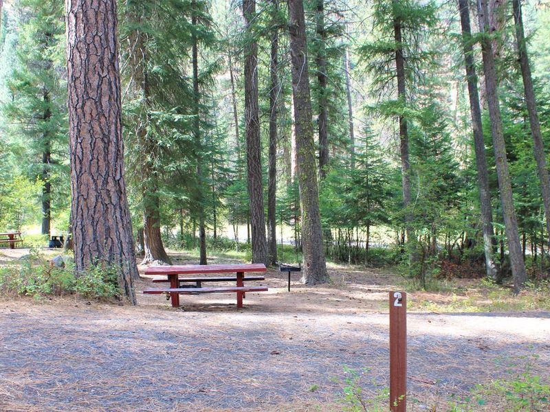 Buckhorn Campground Site #2.