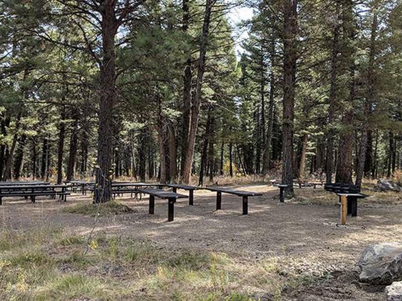 New Group Area Tables