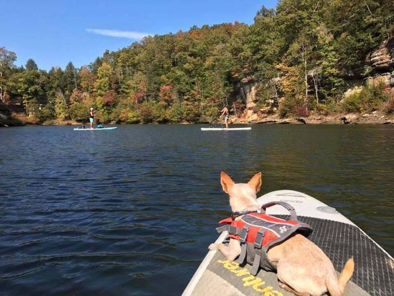 Paddle Boarding at Grayson Lake.