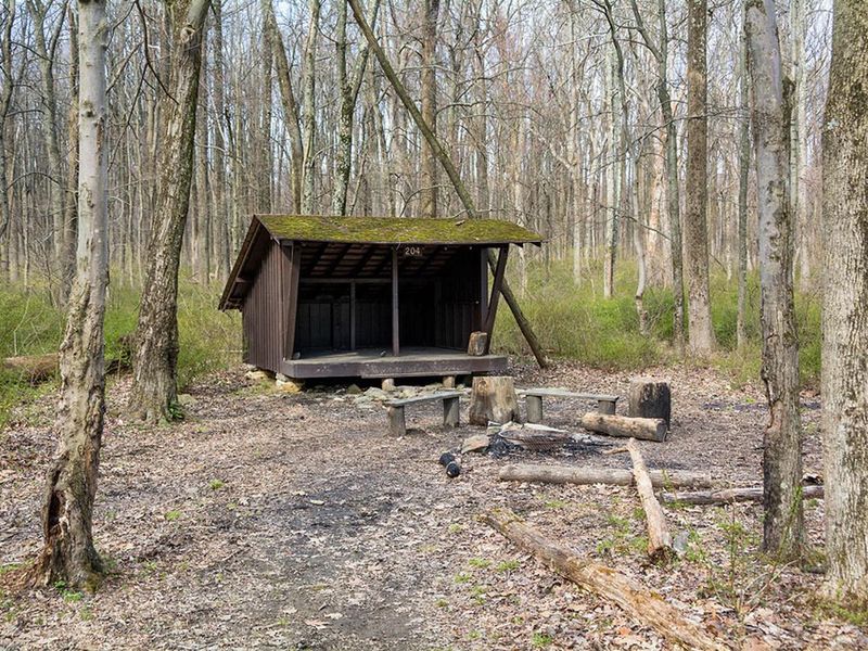 Three-sided wooden Adirondack shelter in early spring. Each shelter has 2 wooden benches, a fire circle, and pit toilet.  Dead firewood may be collected for use.  No potable water is available.