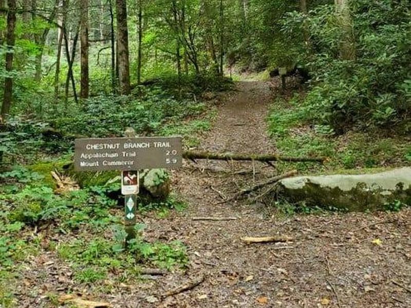 Chestnut Branch Trail