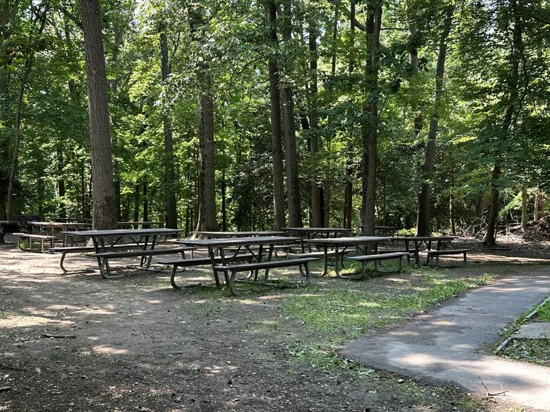Enjoy a family reunion or company picnic in the Urban Oasis (Holly picnic area)