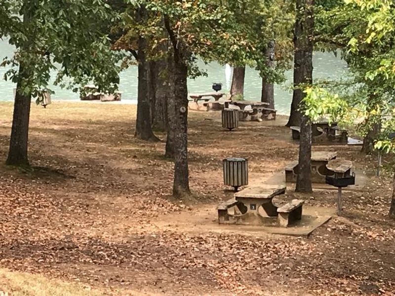 OBEY RIVER PARK DAY USE PICNIC TABLES