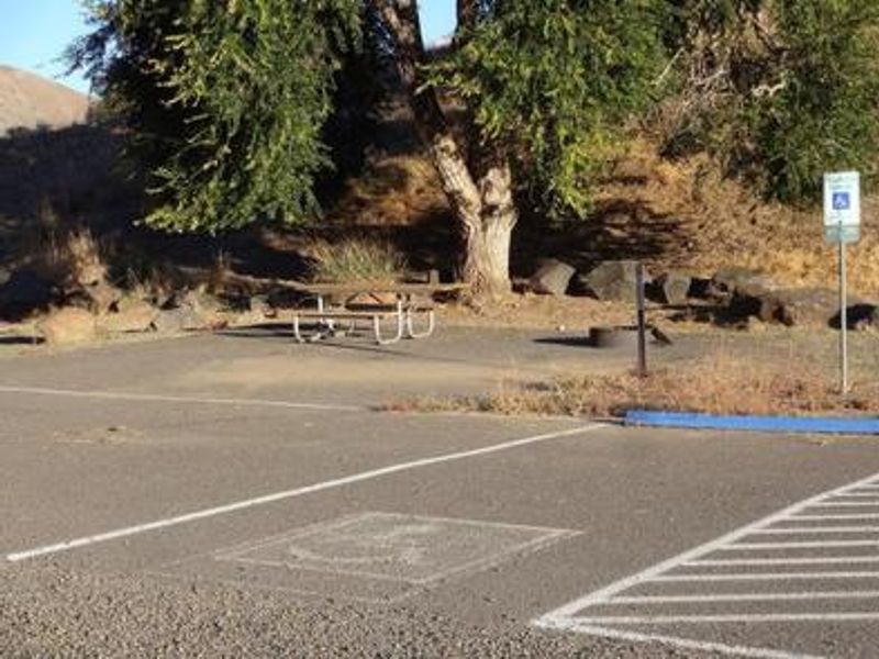 Lmuma Creek Campsite #6