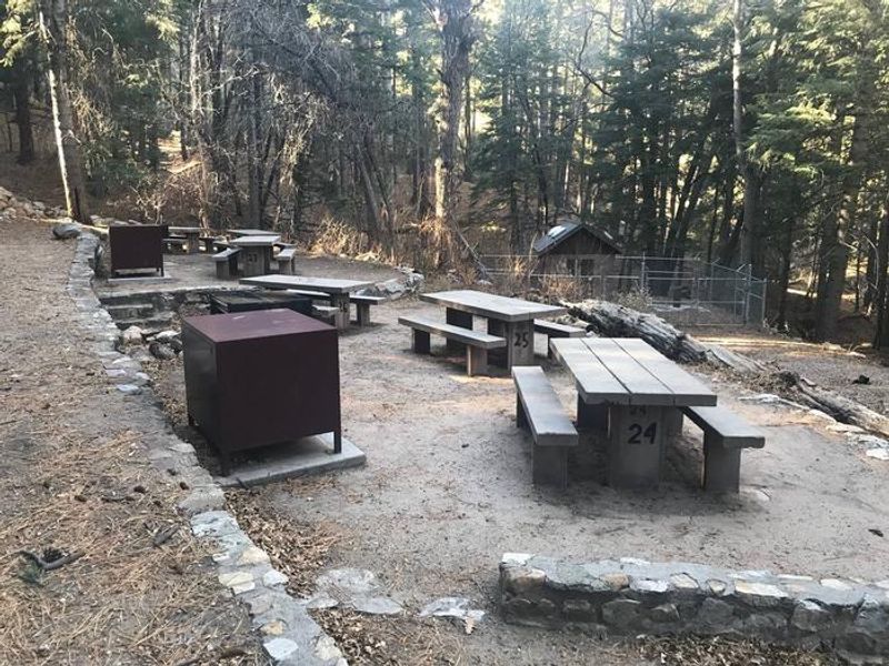 Upper Arcadia Group Site 