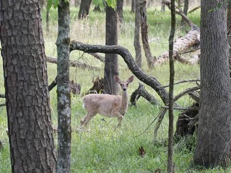 Tompkins Bend Day-Use Area