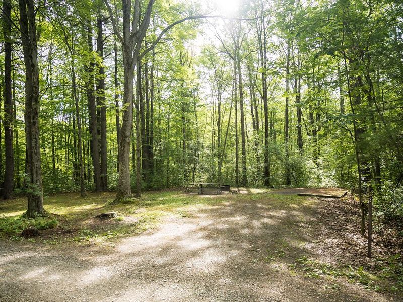 Blueberry Patch campsite