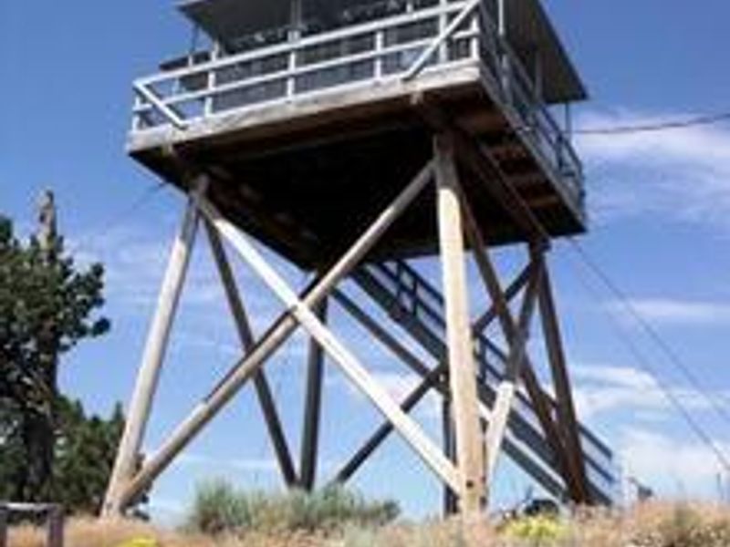 Looking up at lookout cabin on tower from ground below.