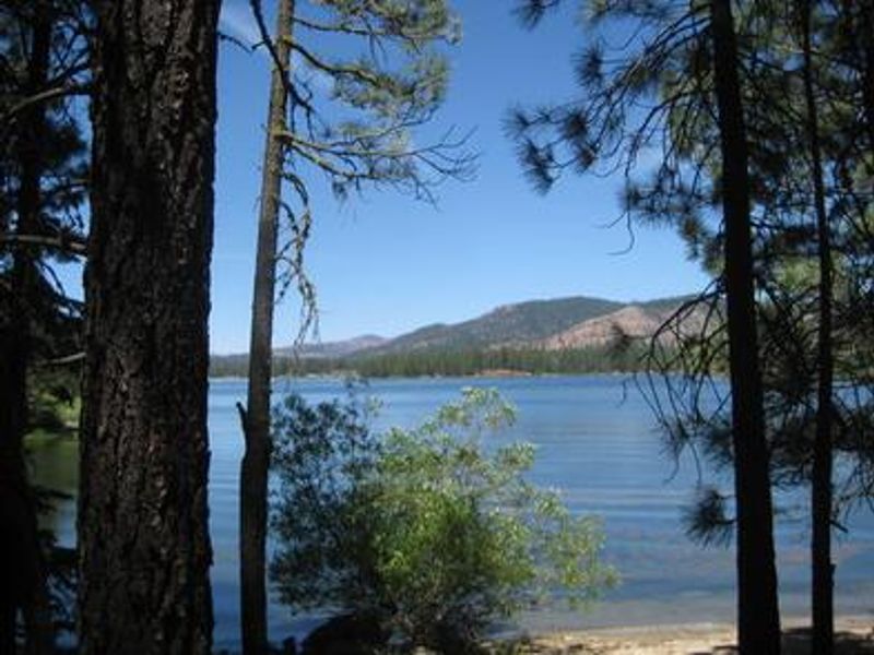 View of Lake on a Sunny Day