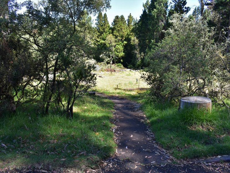 Trail in the campground