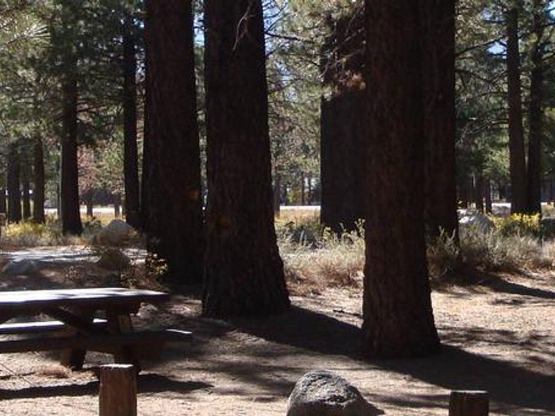 New Shady Rest Campground