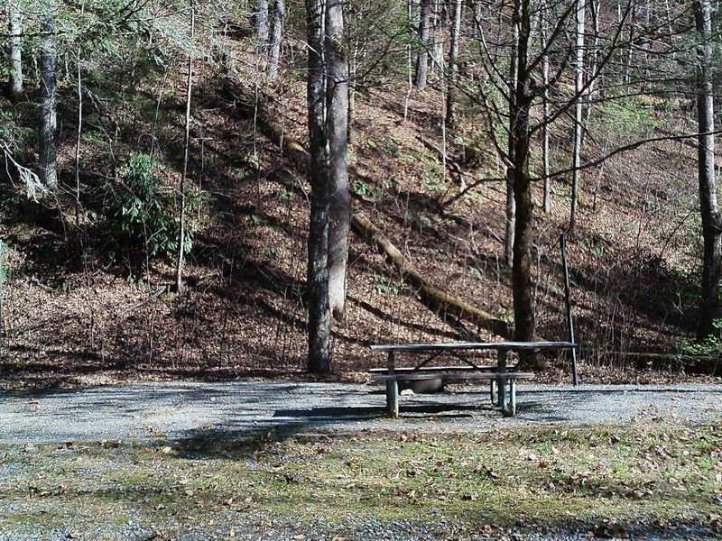 Site #18 is located close to the day use visitor lot for Horsetrough Falls, but is also only a 3 minute walk to this spectacular falls that you can hear while you are enjoying the piece of this gem of a campground.