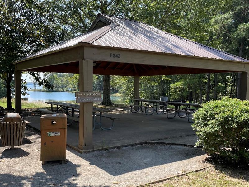 Piney Grove Beach Pic 1