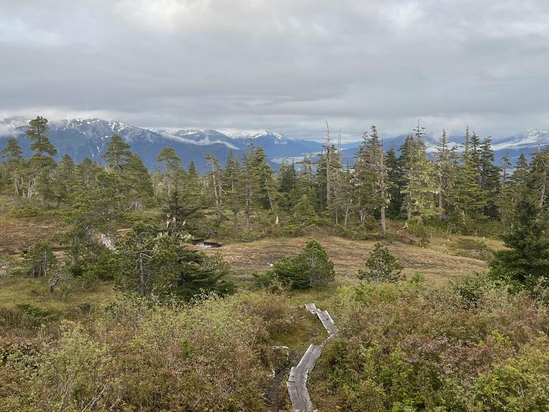 View from John Muir Cabin