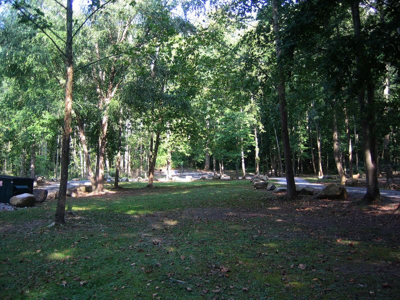 Grandview Sandbar Campground offers camping in the woods right next to the New River.