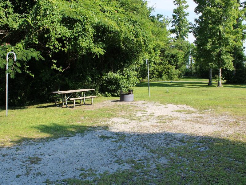Example of the type campsite at this location