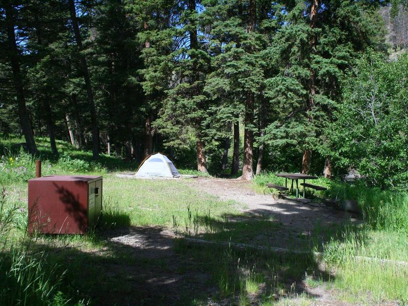 Slough Creek Campground Site #11