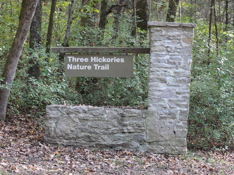 COOK DAY USE AREA - THREE HICKORIES TRAIL
