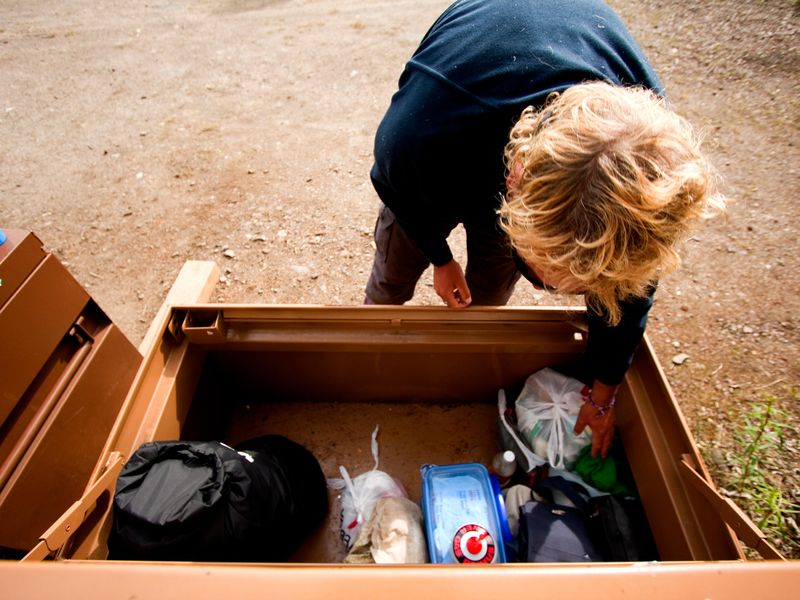 Food lockers at Igloo Creek ensure that wildlife cannot steal your food. Keep all scented items (e.g., deodorant, toothpaste) in the locker, not just your food.