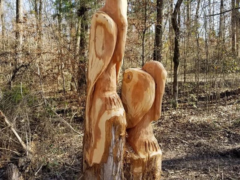Pelican Wood Carving