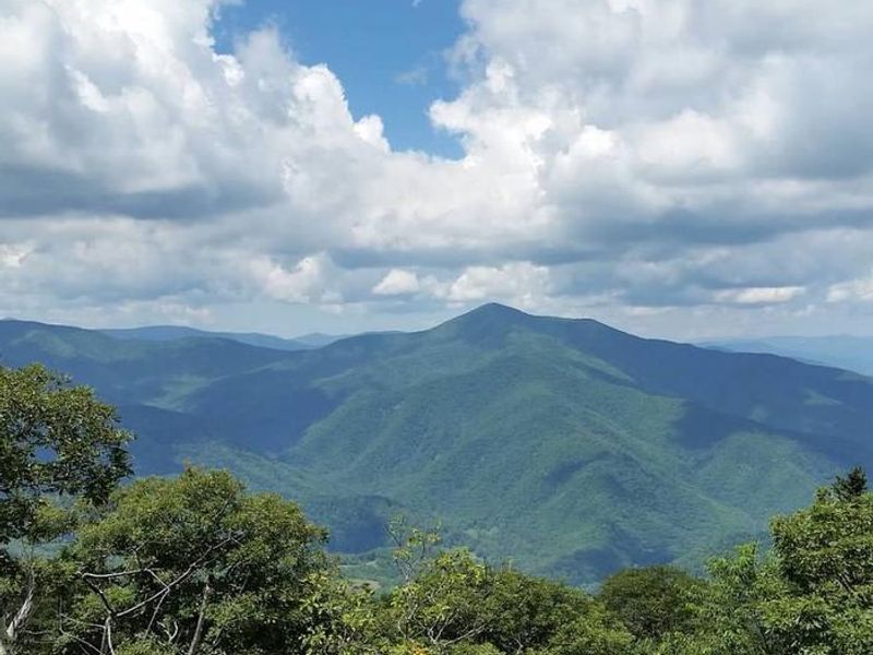 The views are spectacular from Frying Pan Trail.  Visitors can usually access several landings of the fire tower located at the top of the trail.