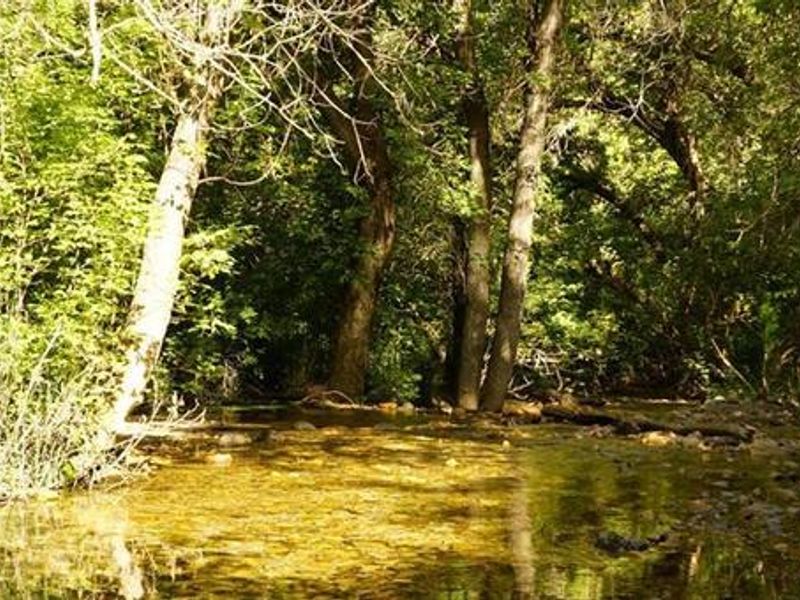Box Elder Campground