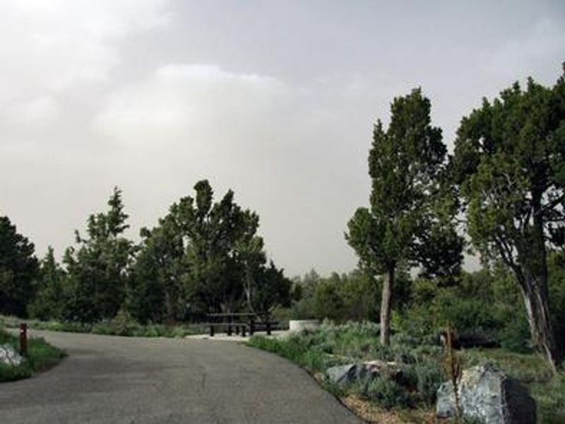 Typical Site in Devils CG