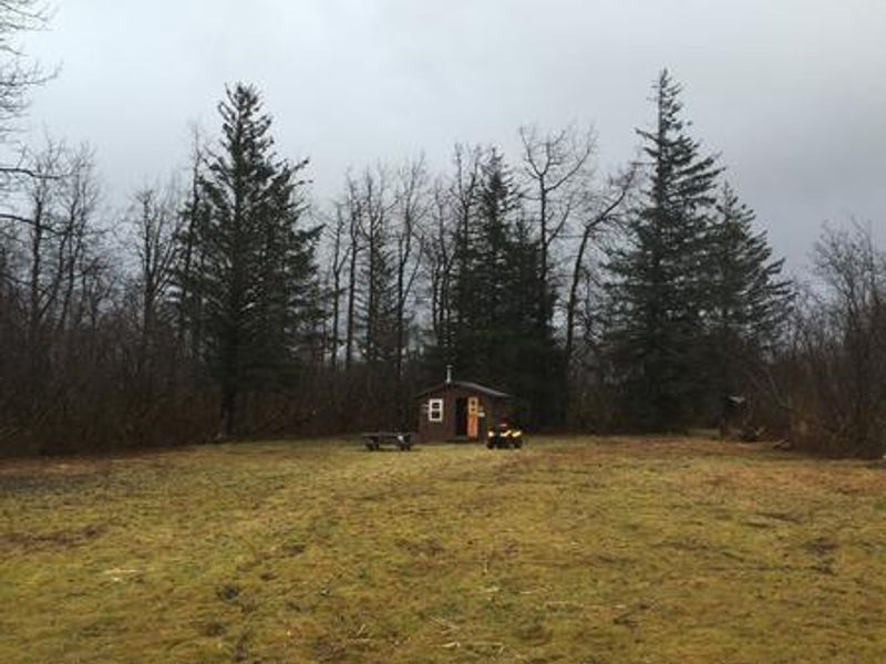 Middle Dangerous River Cabin