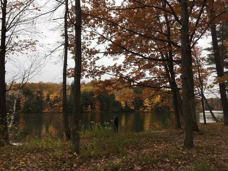 Manistee River Backwaters