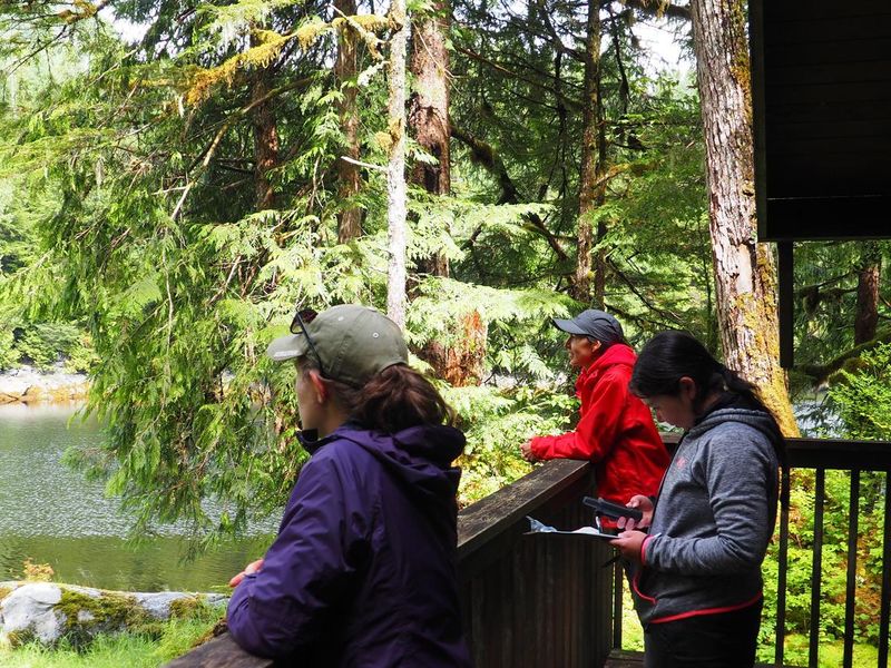 Visitors enjoying the view from Frosty Bay Cabin